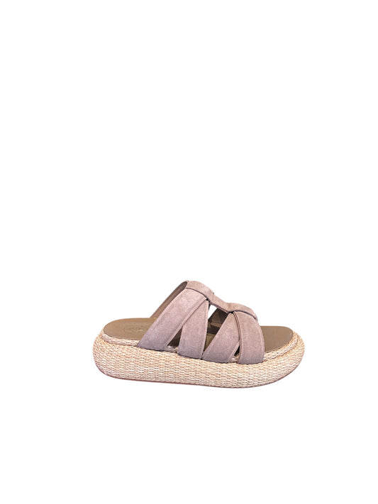 Ciabatta Ash Vox bis